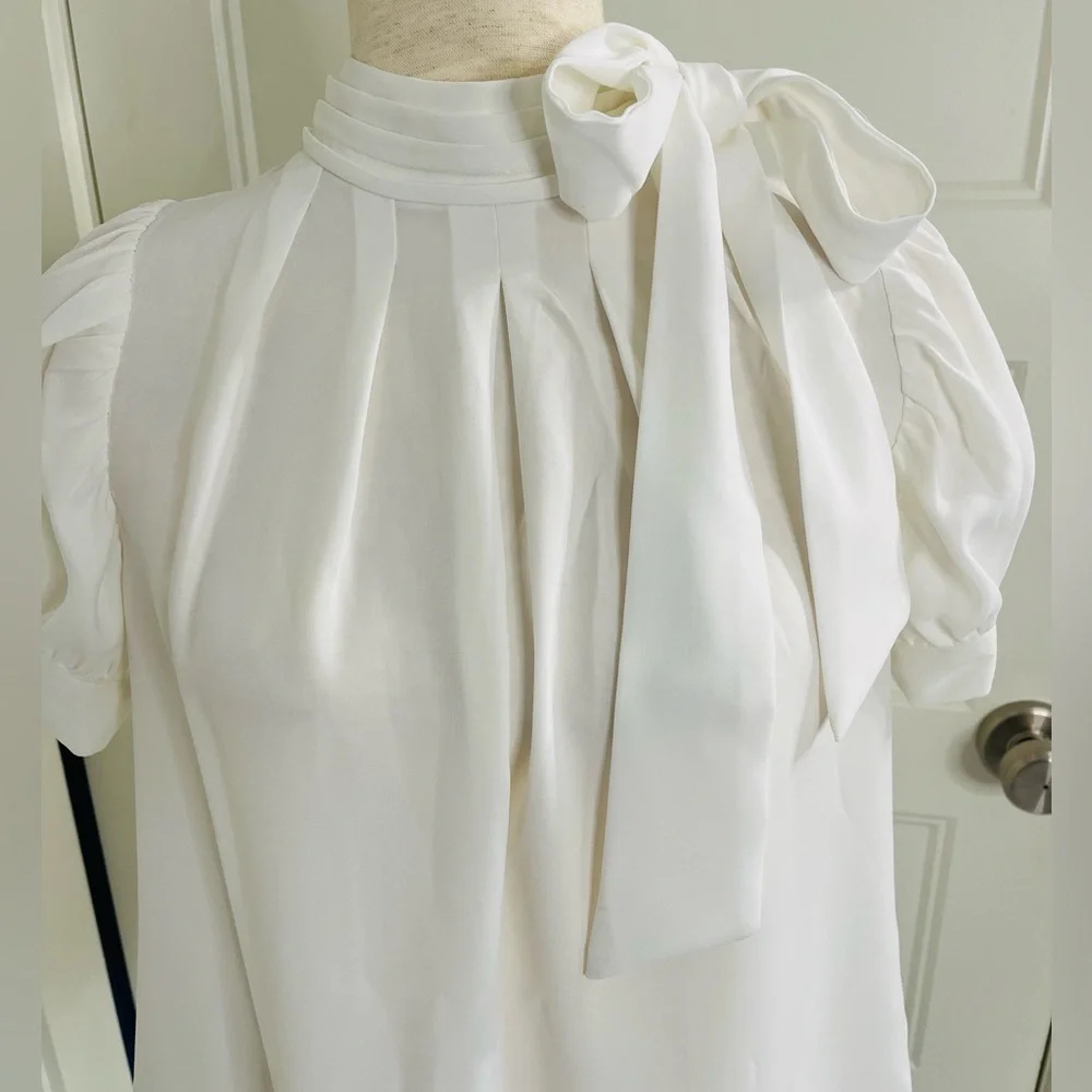 Gracia Pleated Blouse - Picture 4 of 11